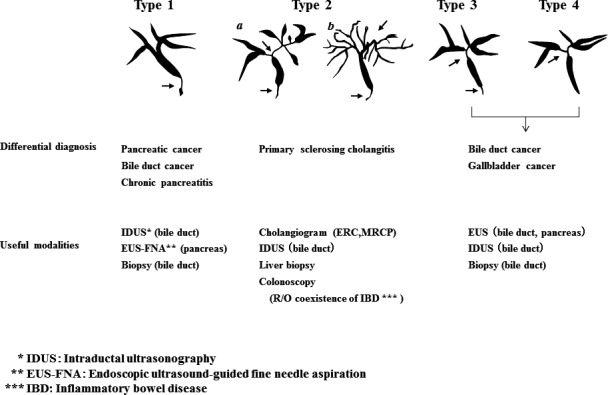 Figure 19