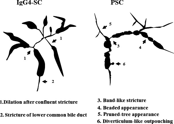 Figure 20