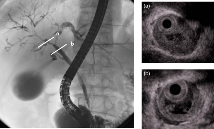 Figure 27