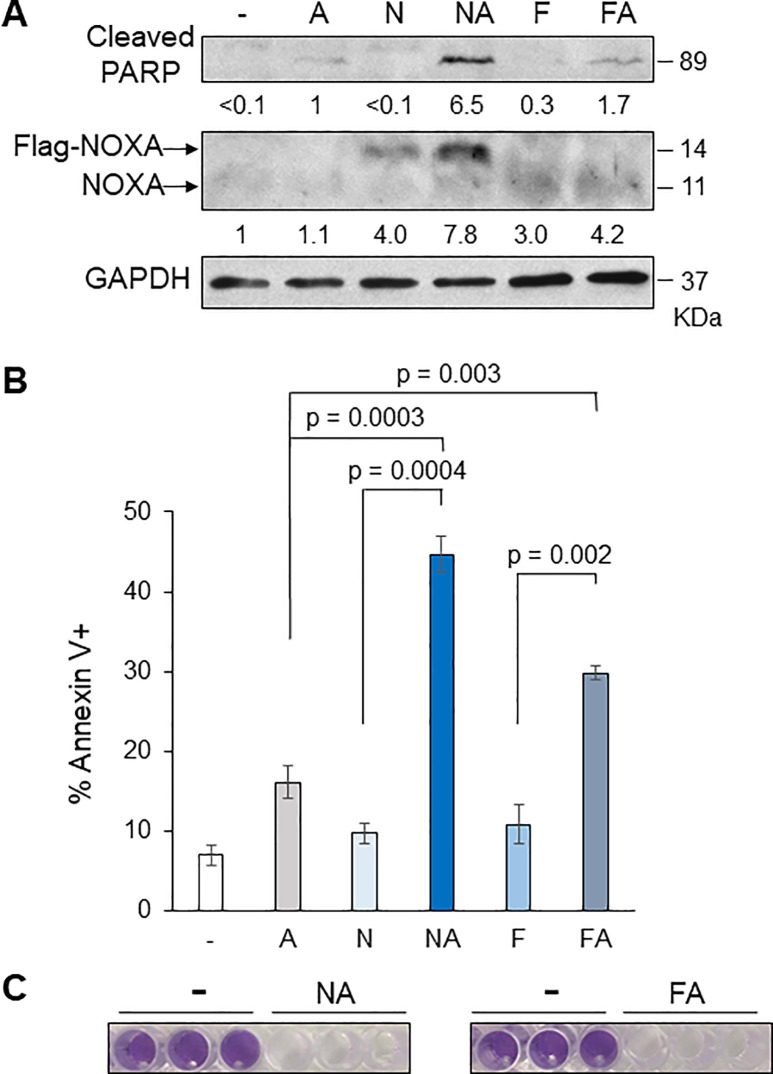 Fig 4