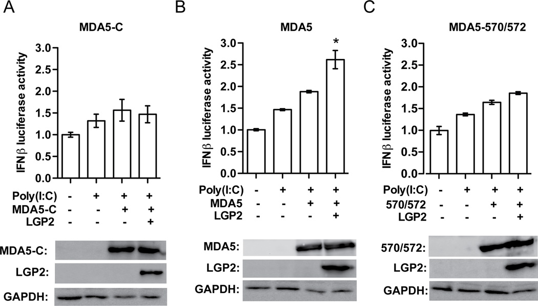 Figure 5