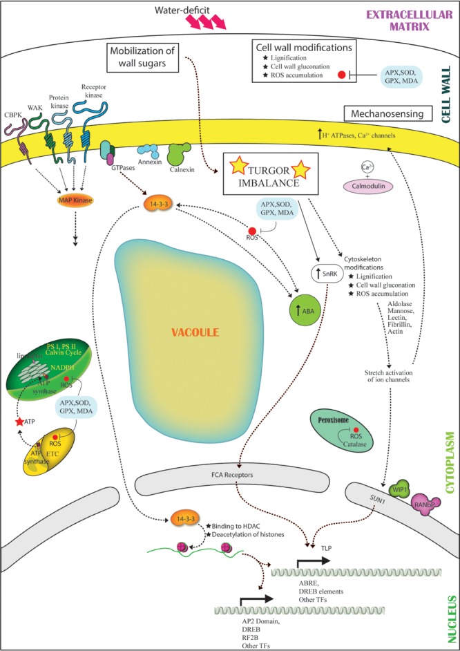 FIGURE 3