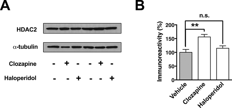 Fig 1.