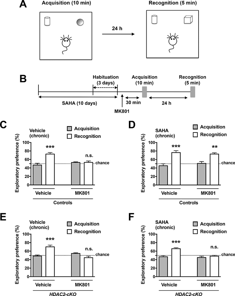 Fig 6.