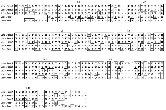 FIG. 8