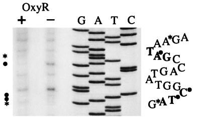 FIG. 6