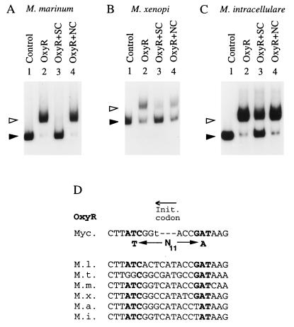 FIG. 5