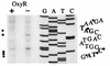 FIG. 6
