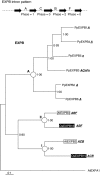 F<sc>ig</sc>. 3.