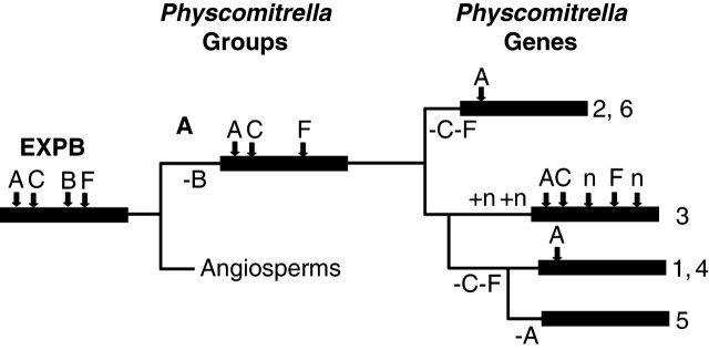 Fig. 5.