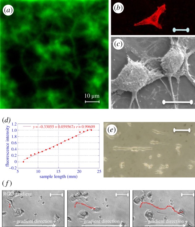 Figure 2.