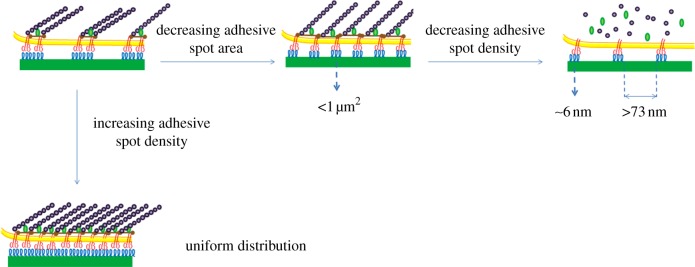 Figure 1.