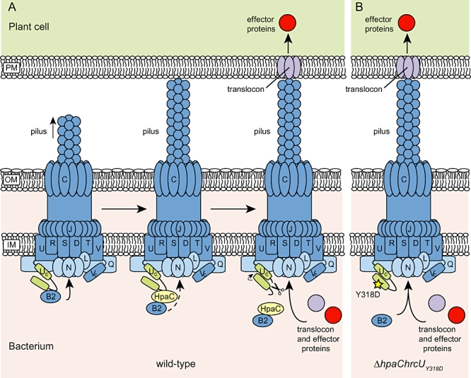 Fig. 9