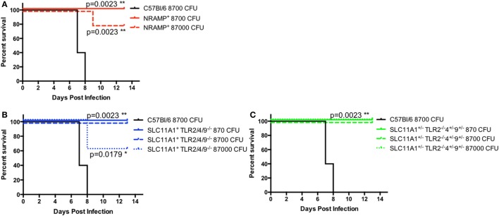 Figure 9