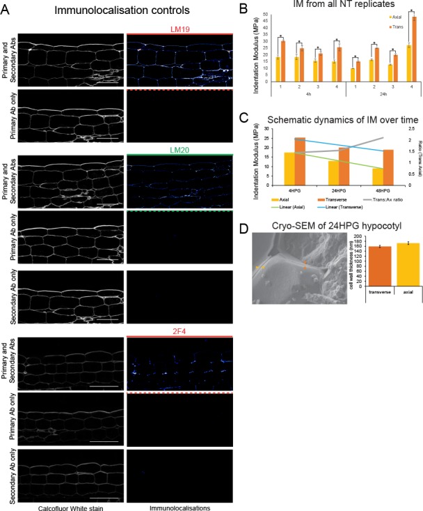 Figure 3—figure supplement 1.