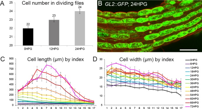 Figure 1—figure supplement 1.