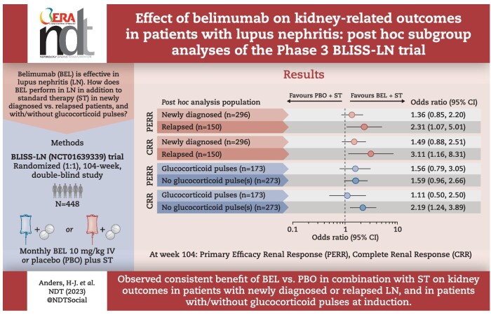 Graphical Abstract