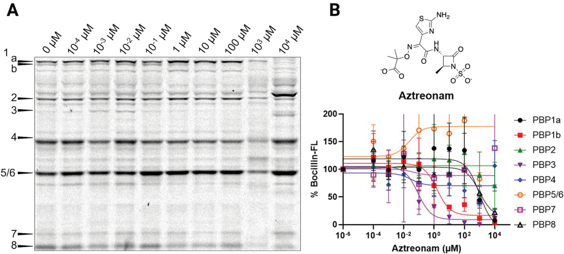 Figure 7.