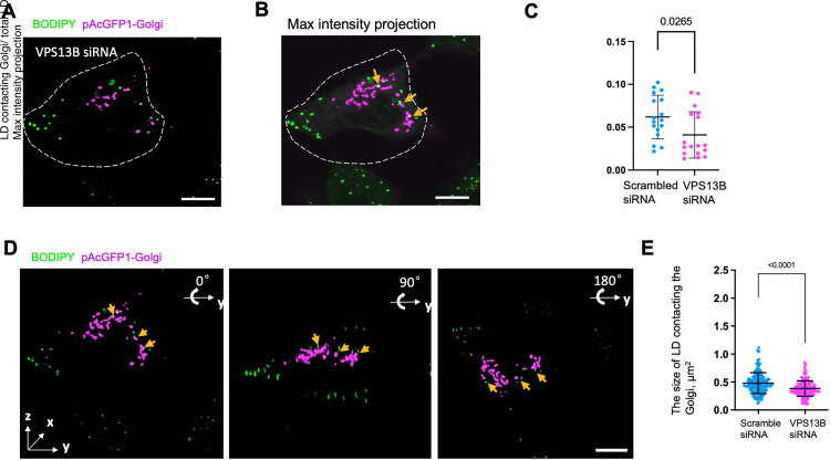 Figure 4.