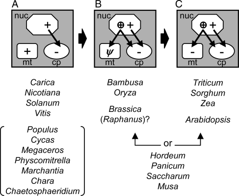 Figure 5