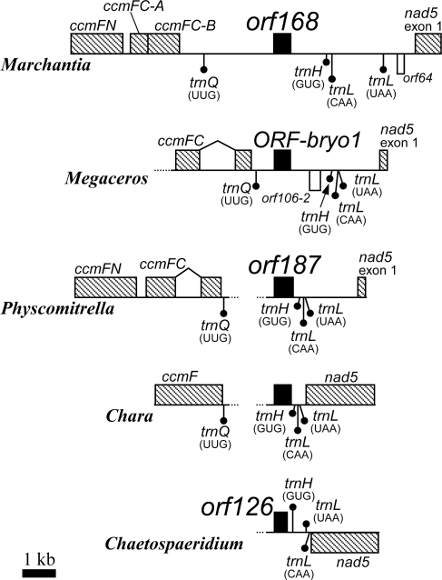 Figure 1