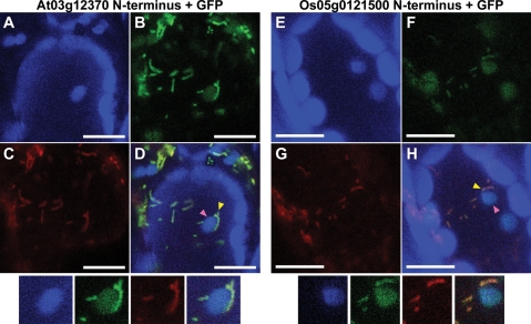 Figure 4