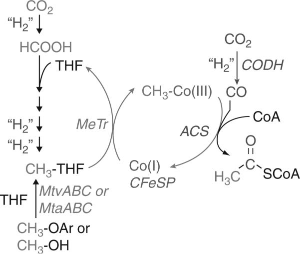 Figure 10.6