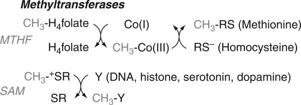 Figure 10.2