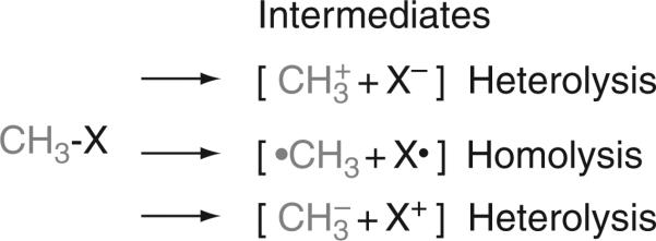 Figure 10.3