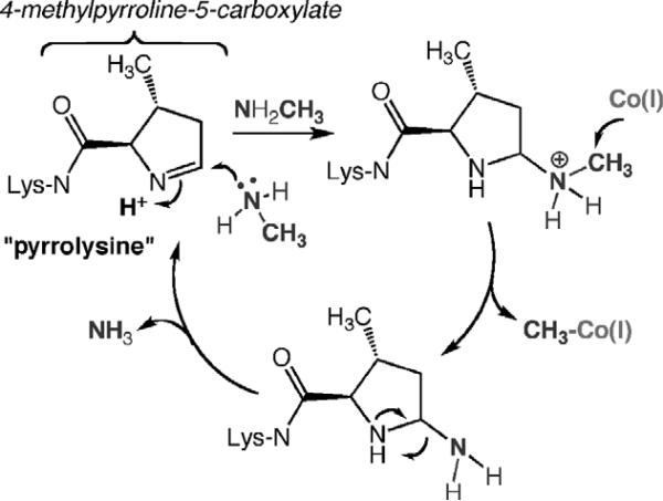 Figure 10.15