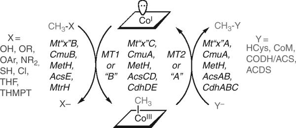 Figure 10.4