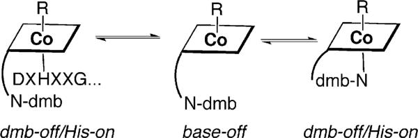 Figure 10.7