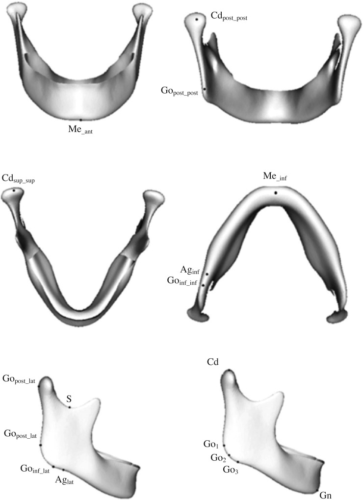 Fig. 2