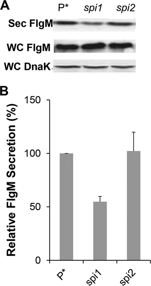 FIG 6