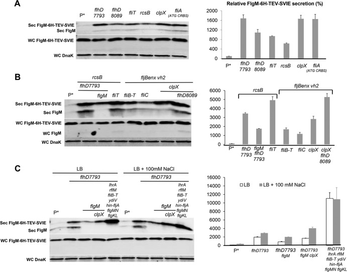 FIG 10