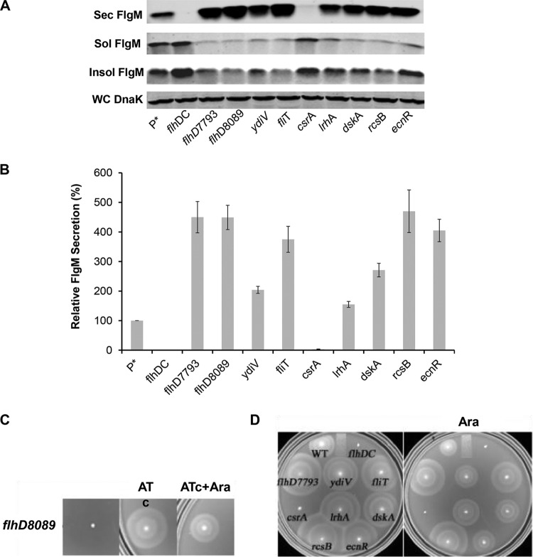 FIG 2