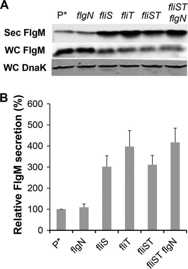 FIG 5