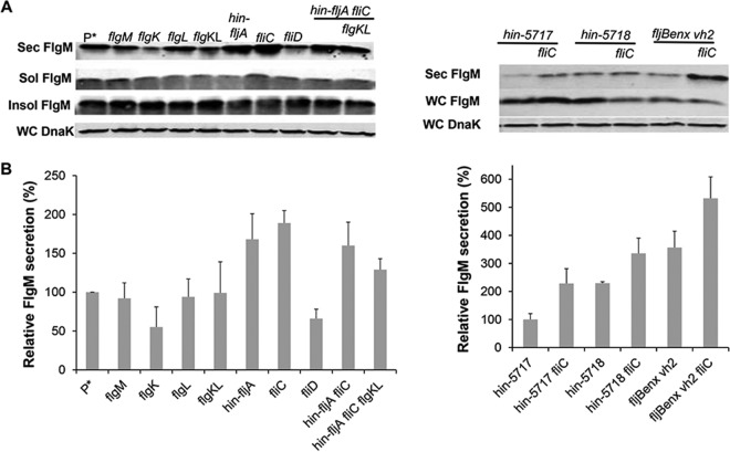 FIG 4