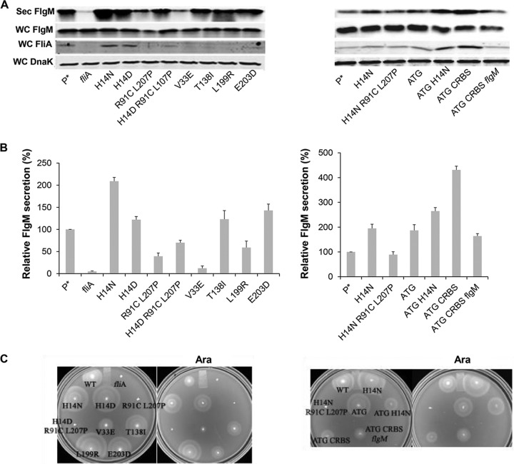 FIG 3