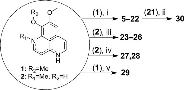 Scheme 1