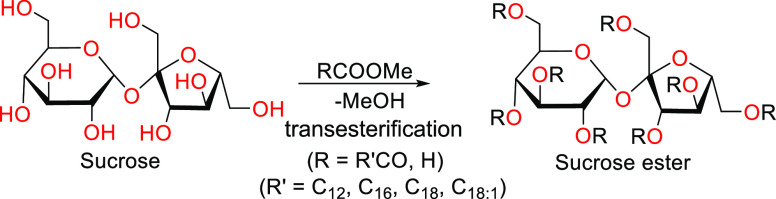 Scheme 2