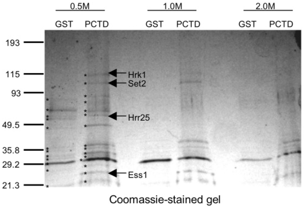 FIGURE 3