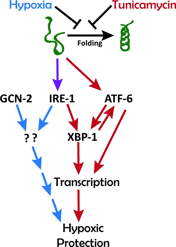 FIG. 7.