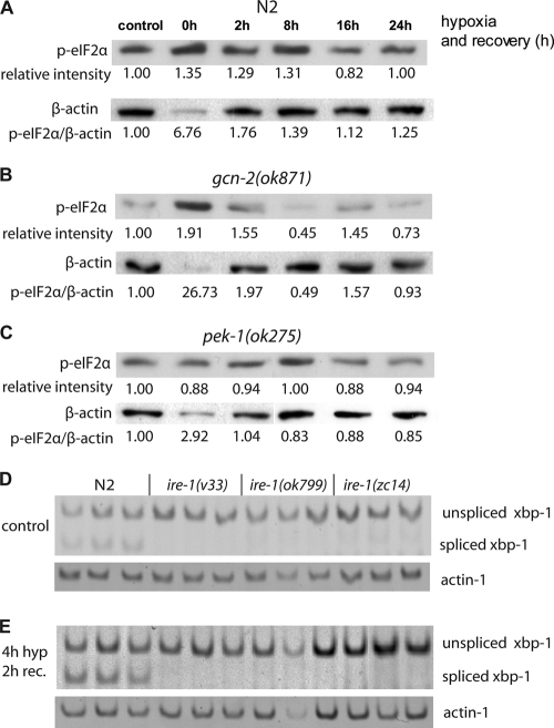 FIG. 6.