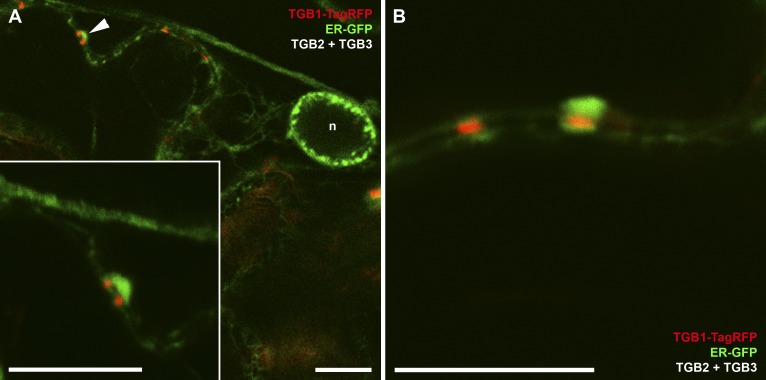 Figure 6.