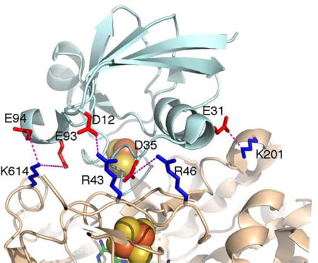 graphic file with name nihms896761u1.jpg