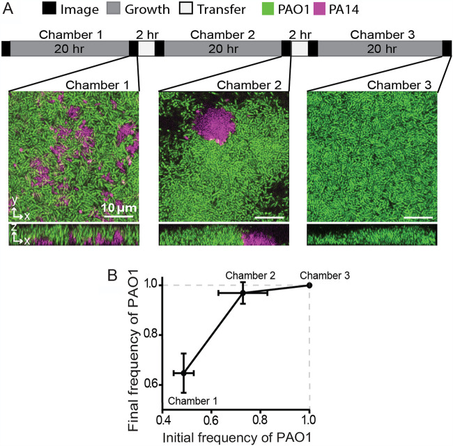 FIG 3