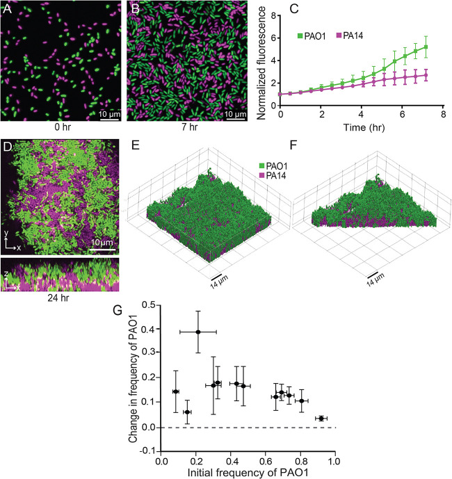 FIG 1