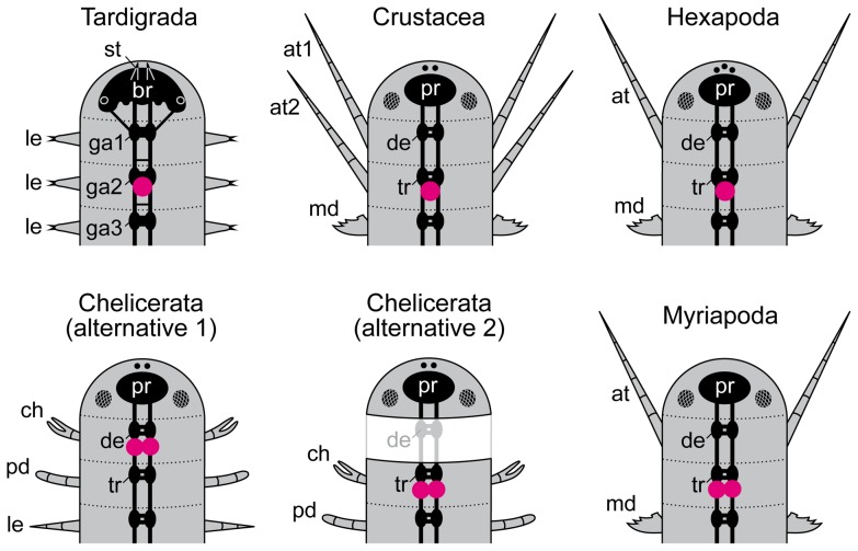 Figure 10