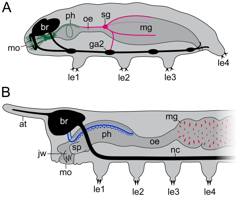 Figure 9